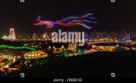 NANNING, CHINA - 12. FEBRUAR 2024 - Ein phönixmuster wird am Nachthimmel von 2.000 Drohnen in Nanning, Guangxi Zhuang Autonomous Region, China, F, gesehen Stockfoto