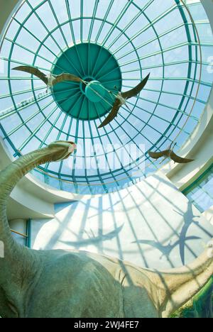 Die Glaskuppel des North Carolina Museum of Natural Sciences beherbergt die Ausstellung „Terror of the South“, die gigantische Pseudocoels zeigt Stockfoto