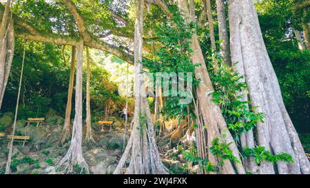 Da Nang, Vietnam: Aus der Vogelperspektive auf die Halbinsel Son Tra und die Pagode Linh Ung, die eines der berühmtesten Reiseziele für Touristen ist. Stockfoto