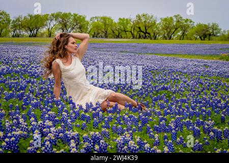 Ein schönes Brünette Model posiert in Einem Feld mit Bluebonnet-Blumen in Einem Texas Prarie Stockfoto