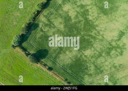 Drohnen aus der Vogelperspektive verschiedener landwirtschaftlicher Felder Stockfoto
