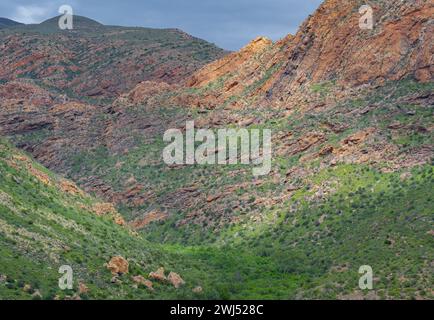 Cango Caves Mountain Range nahe Oudtshoorn Südafrika Stockfoto