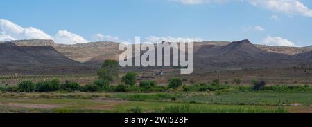 Halbwüstenlandschaft und Berge in der Nähe von Oudtshoorn Südafrika Stockfoto