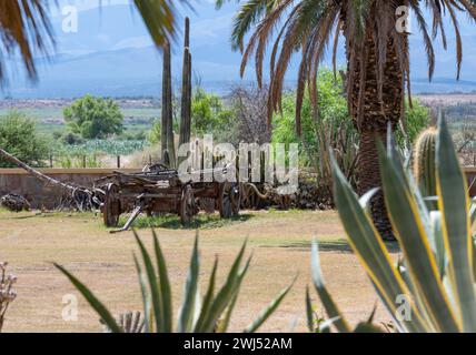 Halbwüstenlandschaft und Berge in der Nähe von Oudtshoorn Südafrika Stockfoto