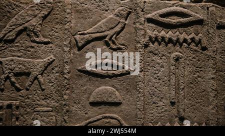 Die altägyptischen Hieroglyphen wurden auf eine Steinstruktur aus dem Neuen Museum in Berlin gemeißelt Stockfoto