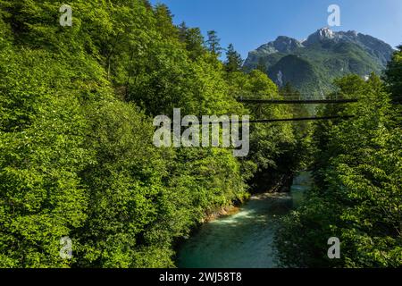 Hängebrücke über den Alpenfluss im grünen Wald, Slowenien. Drohnenansicht aus der Luft Stockfoto