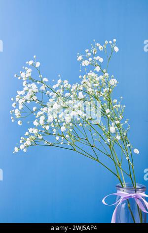 Strauß weißer gypsophila in einer Glasvase auf blauem Hintergrund Stockfoto