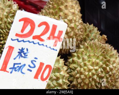 Frische Durianfrüchte mit grüner Dornhartschale und fleischigen, gelblichen Fleischsamen, die im Obststand verkauft werden. Chinesische Worte „Schwarzer goldener Musang-König“. Stockfoto