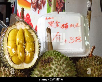 Frische Durianfrüchte mit grüner Dornhartschale und fleischigen, gelblichen Fleischsamen, die im Obststand verkauft werden. Chinesische Worte „Schwarzer goldener Musang-König“. Stockfoto