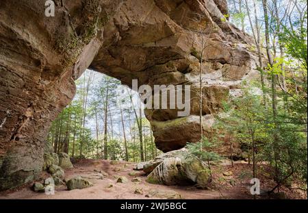 Twin Arches, Natural Rock Arch im Big South Fork National River and Recreation Area, Tennessee, USA Stockfoto