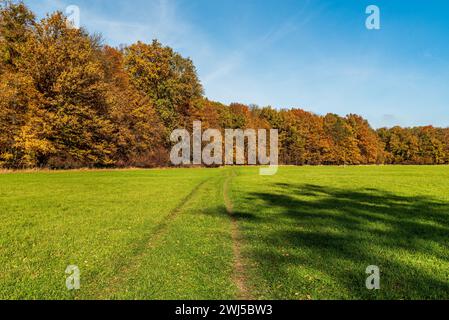 Herbstlandschaft mit Wiesen und bunten Bäumen - CHKO Poodri zwischen Kosatka und Polanka in Tschechien Stockfoto