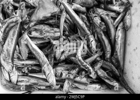 Detail des Fischverkaufs auf einem Straßenmarkt in Europa, gesunde Lebensmittel Stockfoto