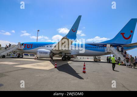 Afrika, Boeing 737 Max von TUIfly auf dem Flughafen Amilcar Cabral International ist der wichtigste und größte Flughafen der Kapverden auf der Insel Sal, Flugzeug, Logo tui. *** Afrika, Boeing 737 Max ab TUIfly am Amilcar Cabral International Airport ist der wichtigste und größte Flughafen in Kap Verde auf der Insel Sal, Flugzeug, Logo tui Stockfoto