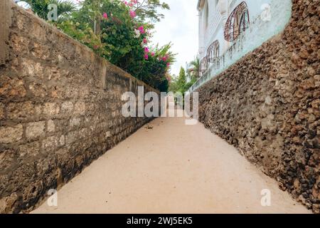 Korallenwand aus strukturierten und einzigartigen Korallenfelsen am Malindi Beach in Kenia Stockfoto