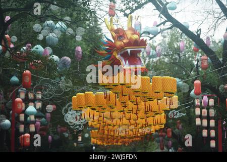HANGZHOU, CHINA - 13. FEBRUAR 2024 - Touristen sehen eine 300 Meter lange Drachenlaterne im Xixi Wetland im West Lake District von Hangzhou, der Hauptstadt des Ostens Stockfoto