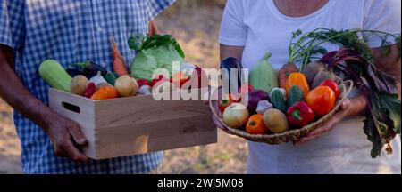 Zwei Bauern, die zusammen mit Kisten mit frisch gepflücktem Gemüse auf lokalem Ackerland stehen Stockfoto