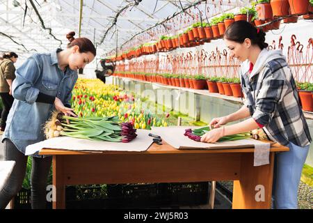 Eine Frau wickelt einen Blumenstrauß in Bastelpapier. Bouquet von violetten Tulpen. Verkauf von Blumensträußen aus dem Gewächshaus. Stockfoto