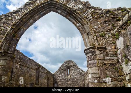 Detail des St. Declan's Klosters, dessen wichtigste Denkmäler der 30 m hohe runde Turm und die dachlose Kathedrale sind Stockfoto