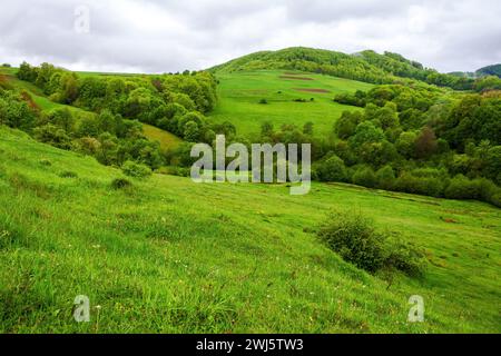 karpaten ländliche Landschaft im Frühling. Bergige Landschaft der ukraine mit bewaldeten Hügeln und grünen Wiesen an einem regnerischen Tag Stockfoto