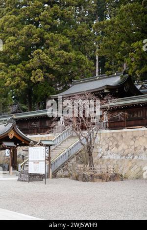 Detail im Sakurayama Hachimangu-Schrein, Takayama, Präfektur Gifu, Japan. Stockfoto