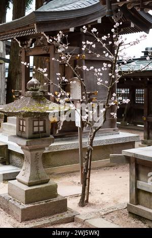 Detail im Sakurayama Hachimangu-Schrein, Takayama, Präfektur Gifu, Japan. Stockfoto