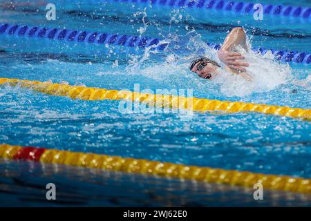 Doha, Katar. Februar 2024. Lucas Henveaux wurde am Dienstag, den 13. Februar 2024, in Aktion bei den MEN 800m Freestyle bei den Weltmeisterschaften im Wassersport in Doha, Katar, dargestellt. BELGA FOTO NIKOLA KRSTIC Credit: Belga Nachrichtenagentur/Alamy Live News Stockfoto