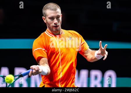 Rotterdam, Niederlande. Februar 2024. ROTTERDAM, NIEDERLANDE - 13. FEBRUAR: Borna Coric aus Kroatien am 2. Tag der ABN AMRO Open 2024 in Ahoy am 13. Februar 2024 in Rotterdam, Niederlande. (Foto: Joris Verwijst/BSR Agency) Credit: BSR Agency/Alamy Live News Stockfoto