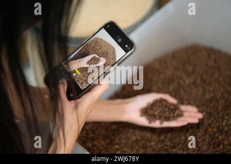 Junger Mann in Schürze, der mit geröstetem Kaffee arbeitet und den gerösteten Bohnenkaffee überprüft Stockfoto