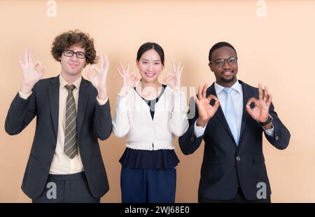 Porträt von Gruppen multiethnischer Geschäftsleute, die zusammen ein OK-Handschild mit Fingern zeigen Stockfoto