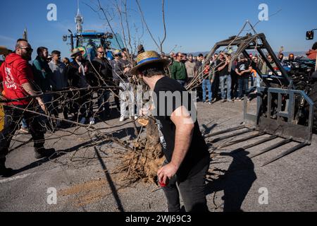 Tarragona, Tarragona, Spanien. Februar 2024. Hunderte katalanischer Bauern blockieren den Hafen von Tarragona an einem neuen Tag der Proteste in Katalonien. Landwirte, die auch in anderen Schlüsselbereichen wie Mercabarna Maßnahmen ergriffen haben, fordern weniger Bürokratie, ein Ende des unlauteren Wettbewerbs aus Ländern außerhalb der EU und ein Gleichgewicht zwischen Agrarpolitik und Wirtschaft. (Kreditbild: © Marc Asensio Clupes/ZUMA Press Wire) NUR REDAKTIONELLE VERWENDUNG! Nicht für kommerzielle ZWECKE! Stockfoto