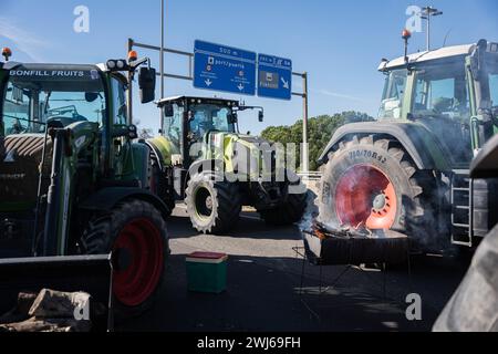 Tarragona, Tarragona, Spanien. Februar 2024. Hunderte katalanischer Bauern blockieren den Hafen von Tarragona an einem neuen Tag der Proteste in Katalonien. Landwirte, die auch in anderen Schlüsselbereichen wie Mercabarna Maßnahmen ergriffen haben, fordern weniger Bürokratie, ein Ende des unlauteren Wettbewerbs aus Ländern außerhalb der EU und ein Gleichgewicht zwischen Agrarpolitik und Wirtschaft. (Kreditbild: © Marc Asensio Clupes/ZUMA Press Wire) NUR REDAKTIONELLE VERWENDUNG! Nicht für kommerzielle ZWECKE! Stockfoto