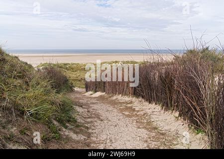 Die wunderschöne Düne von Borkum Stockfoto