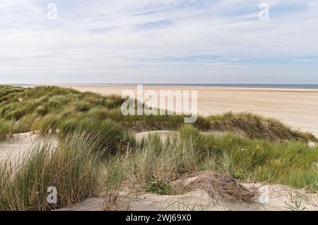 Die wunderschöne Düne von Borkum Stockfoto