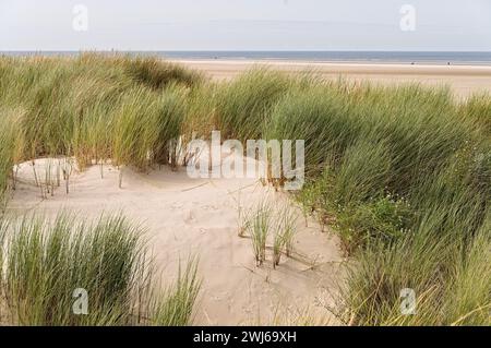 Die wunderschöne Düne von Borkum Stockfoto