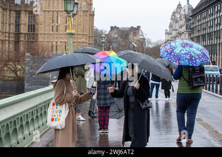 London, UK, 13. Februar 2024 Touristenwarteschlange im Regen mit Regenschirmen, um Fotos von der ikonischen Red Phone Box in London zu machen und die Sehenswürdigkeiten in London trotz Regen zu genießen Credit: Richard Lincoln/Alamy Live News Stockfoto
