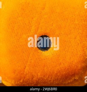 Draufsicht auf eine Seite der orangefarbenen flauschigen Würfel. Nahaufnahme als Hintergrund. Stockfoto