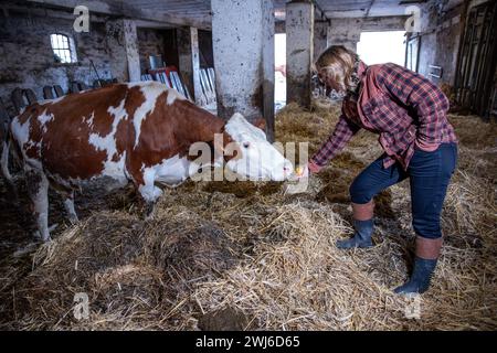 Ruhner Berge, Deutschland. Februar 2024. Steffi Lemke (Bündnis 90/die Grünen), Bundesminister für Umwelt, Naturschutz, Reaktorsicherheit und Verbraucherschutz, besucht einen ökologischen Milchbetrieb im Ruhn-Gebirge an der Grenze zwischen Brandenburg und Mecklenburg-Vorpommern. Der Siebengiebelhof ist ein kleiner Bauernhof mit 25 Weidekühen, eigener Käserei, Direktvermarktung und biologischer Landwirtschaft. Quelle: Jens Büttner/dpa/Alamy Live News Stockfoto