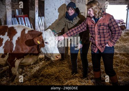 Ruhner Berge, Deutschland. Februar 2024. Steffi Lemke (r, Bündnis 90/die Grünen), Bundesministerin für Umwelt, Naturschutz, Reaktorsicherheit und Verbraucherschutz, steht mit der Eigentümerin des Siebengiebelhofs VE-Annissa Spindler (l) im Kuhstall eines ökologisch bewirtschafteten Milchbetriebs im Ruhn-Hügel an der Grenze zu Brandenburg und Mecklenburg-Vorpommern. Der Siebengiebelhof ist ein kleiner Bauernhof mit 25 Weidekühen, eigener Käserei, Direktvermarktung und biologischer Landwirtschaft. Quelle: Jens Büttner/dpa/Alamy Live News Stockfoto