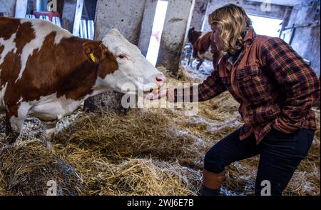 Ruhner Berge, Deutschland. Februar 2024. Steffi Lemke (Bündnis 90/die Grünen), Bundesminister für Umwelt, Naturschutz, Reaktorsicherheit und Verbraucherschutz, besucht einen ökologischen Milchbetrieb im Ruhn-Gebirge an der Grenze zwischen Brandenburg und Mecklenburg-Vorpommern. Der Siebengiebelhof ist ein kleiner Bauernhof mit 25 Weidekühen, eigener Käserei, Direktvermarktung und biologischer Landwirtschaft. Quelle: Jens Büttner/dpa/Alamy Live News Stockfoto