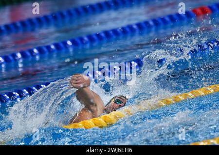 Doha, Qat. Februar 2024. Während der Aquatikweltmeisterschaft Doha 2024 - Sport- Schwimmen - Doha (Katar) 13. Februar 2024 (Foto: Gian Mattia D'Alberto/LaPresse) Credit: LaPresse/Alamy Live News Stockfoto