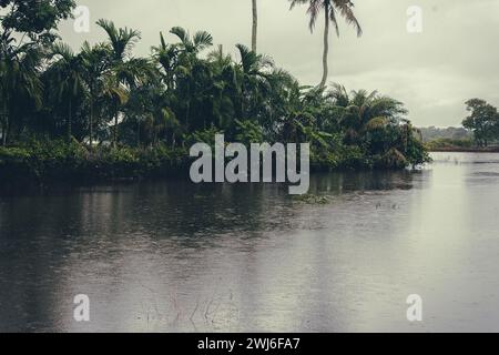 Natur und See Vintage Atmosphäre Stockfoto