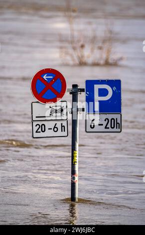 Hochwasser des Rhein, am Anleger der Rheinfähre zwischen Duisburg-Walsum und Rheinberg-Orsoy, NRW, Deutschland, Rheinhochwasser *** Rheinhochwasser, am Anleger der Rheinfähre zwischen Duisburg Walsum und Rheinberg Orsoy, NRW, Deutschland, Rheinhochwasser Stockfoto