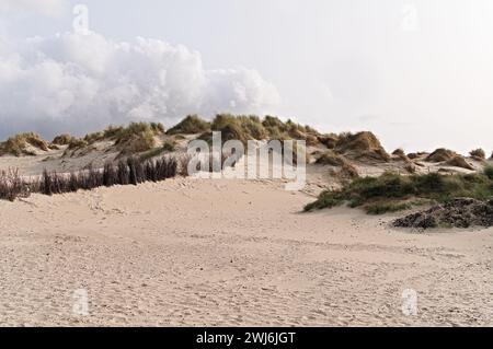 Die wunderschöne Düne von Borkum Stockfoto