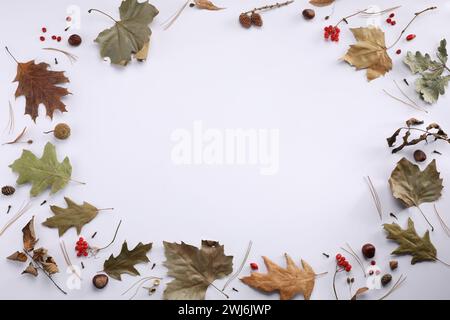 Rahmen aus Herbstblättern, Beeren, Kegeln und Kastanien auf weißem Hintergrund, flache Lagen. Leerzeichen für Text Stockfoto