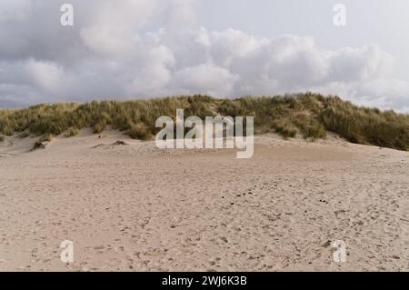 Die wunderschöne Düne von Borkum Stockfoto