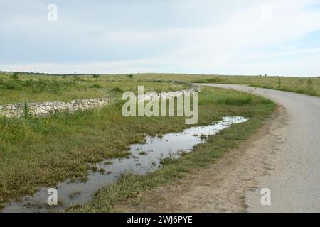 Pfützen am Straßenrand Stockfoto