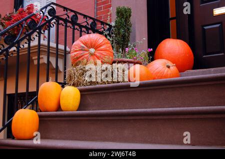 Im Herbst findet eine Treppe in Brooklyn Halloween-Kürbisse und verschiedene HerbstKürbisse in der Nähe der Haustür statt Stockfoto