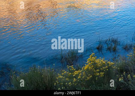 CHAMA RIVER REFLECTION, ABIQUIU, NM, USA Stockfoto