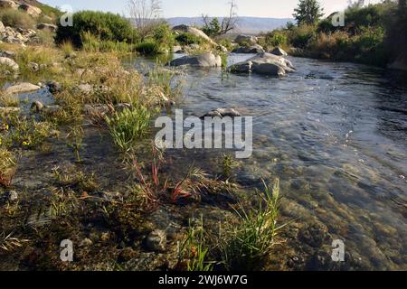 Tahquitz Canyon Trail in der Nähe von Palm Springs in Kalifornien. Stockfoto