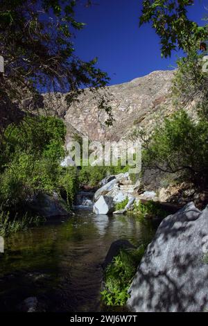 Tahquitz Canyon Trail in der Nähe von Palm Springs in Kalifornien. Stockfoto